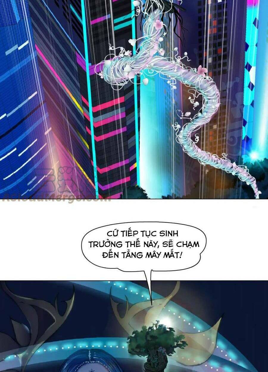 Đằng Nữ Chapter 136 - Trang 2