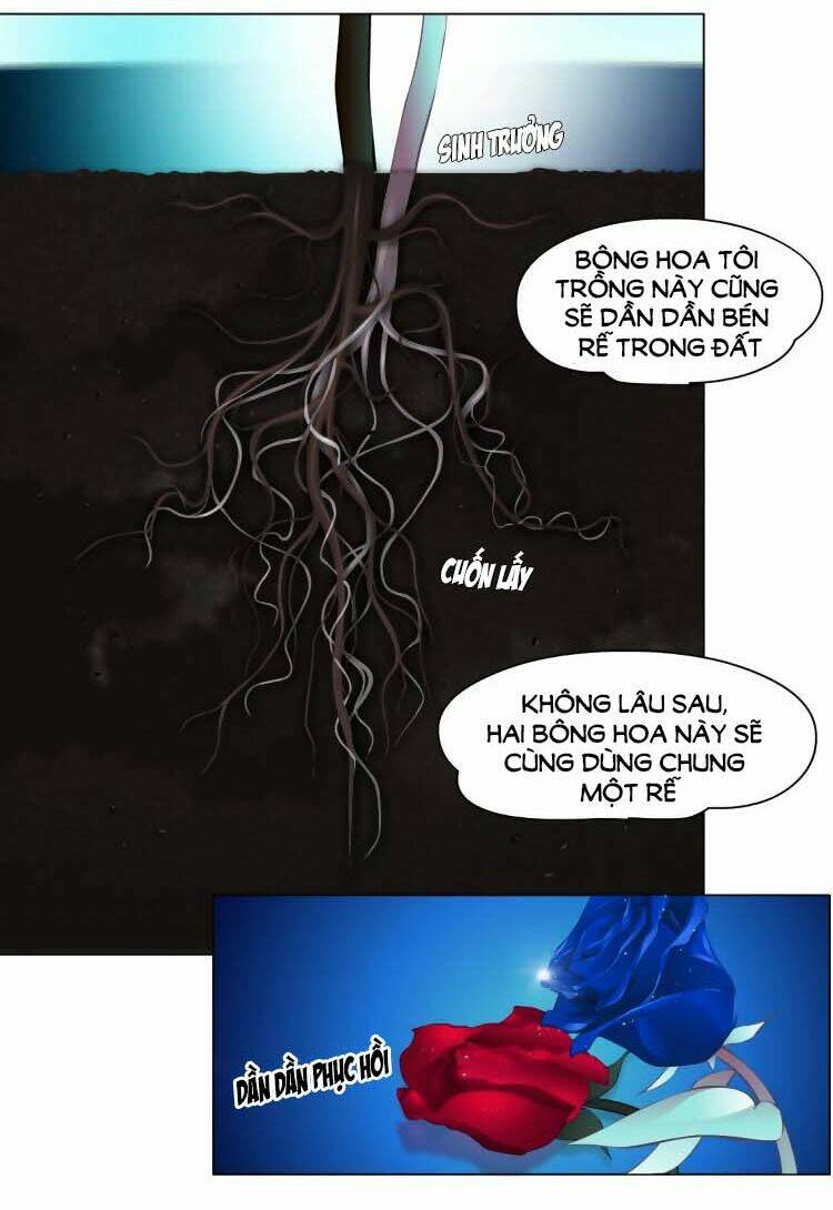 Đằng Nữ Chapter 14 - Trang 2