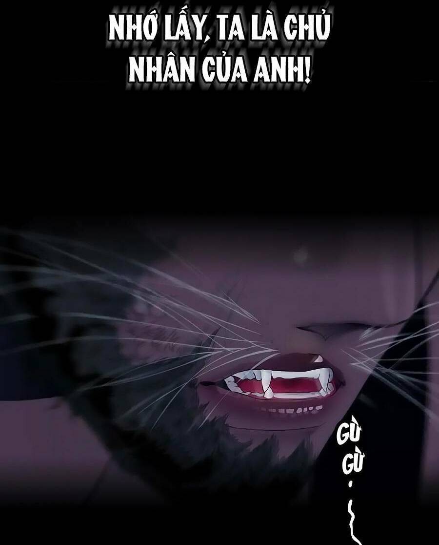 Đằng Nữ Chapter 168 - Trang 2