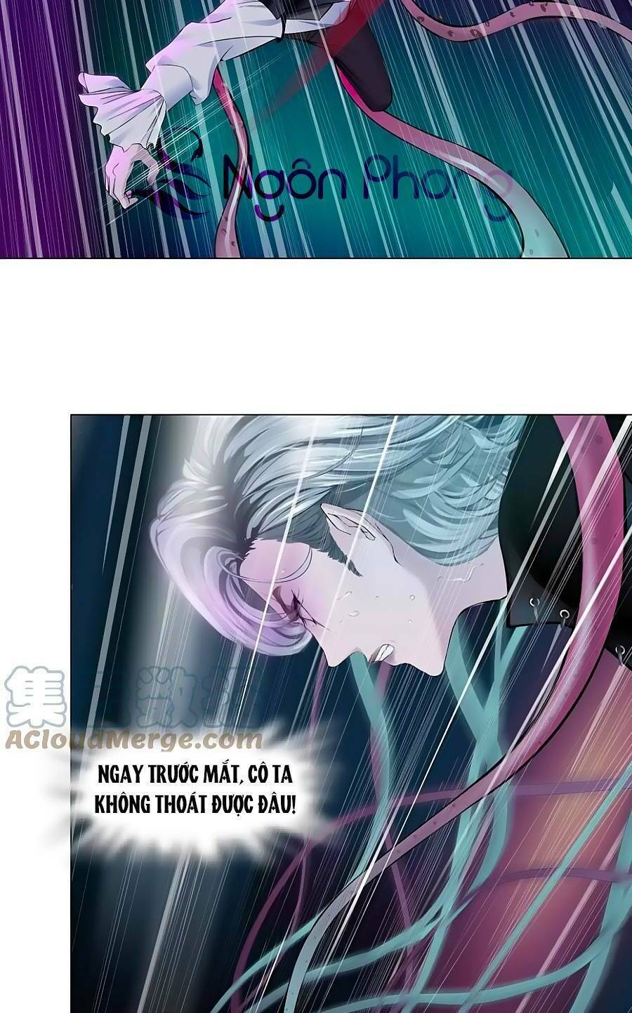 Đằng Nữ Chapter 169 - Trang 2