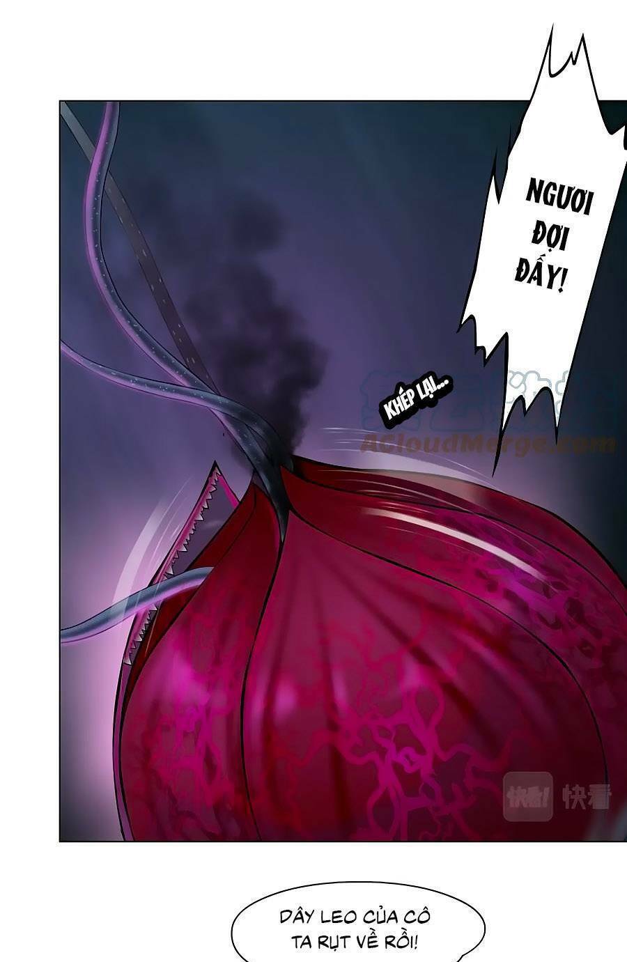 Đằng Nữ Chapter 170 - Trang 2