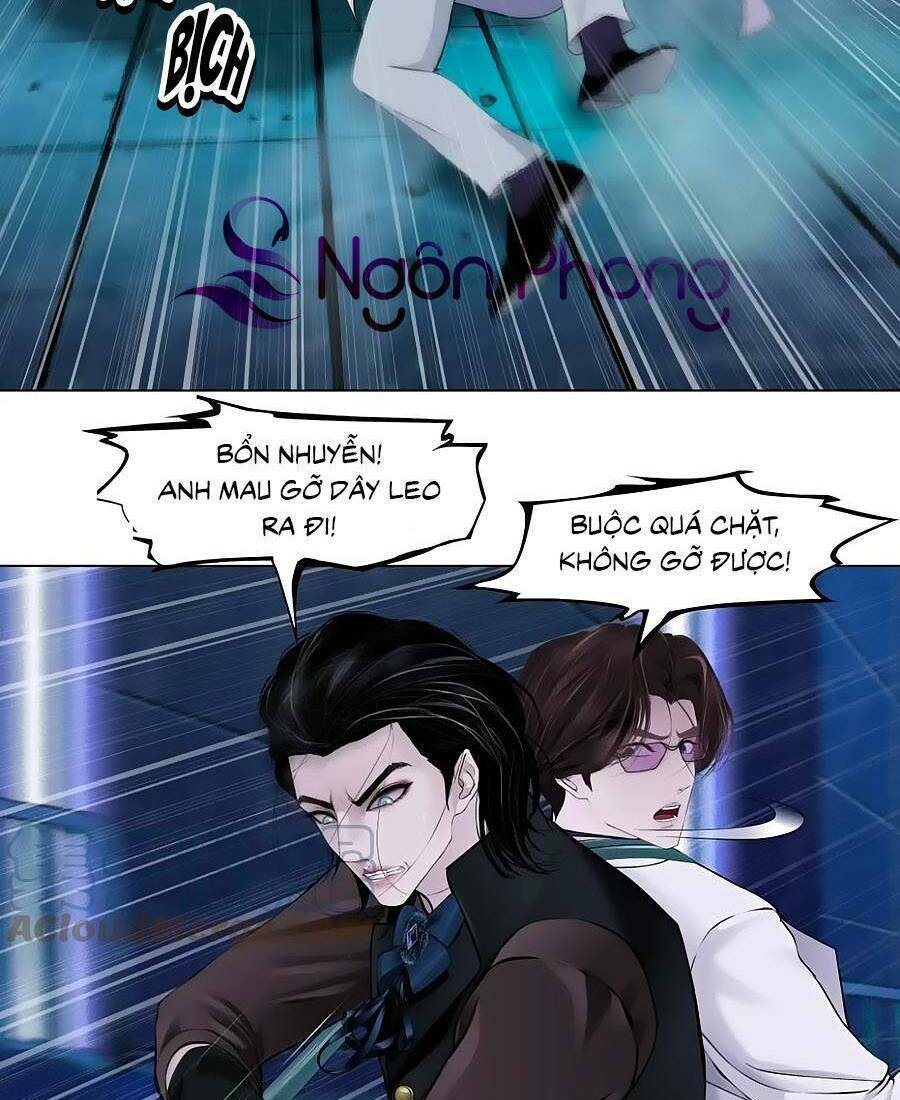 Đằng Nữ Chapter 170 - Trang 2