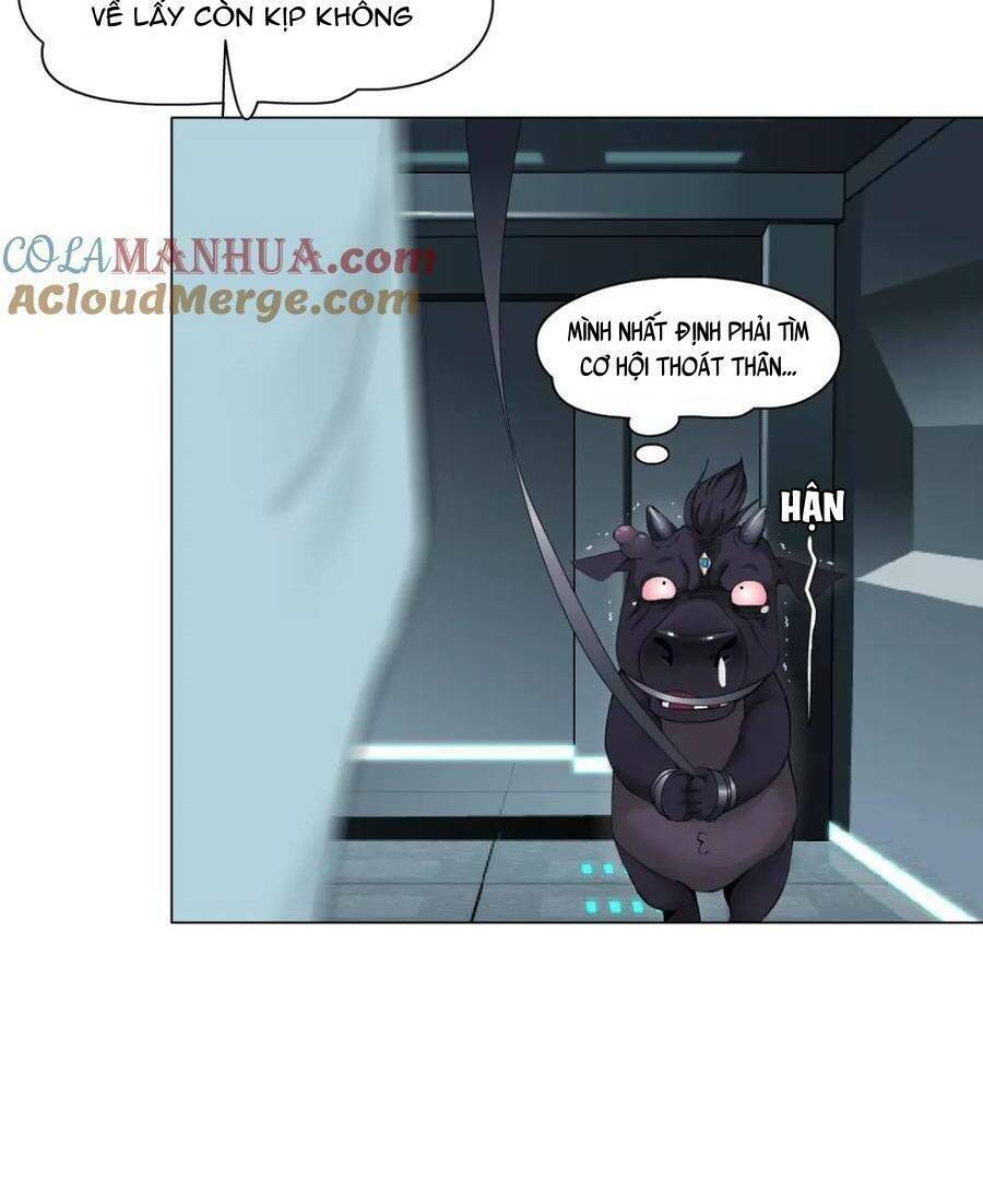 Đằng Nữ Chapter 205 - Trang 2