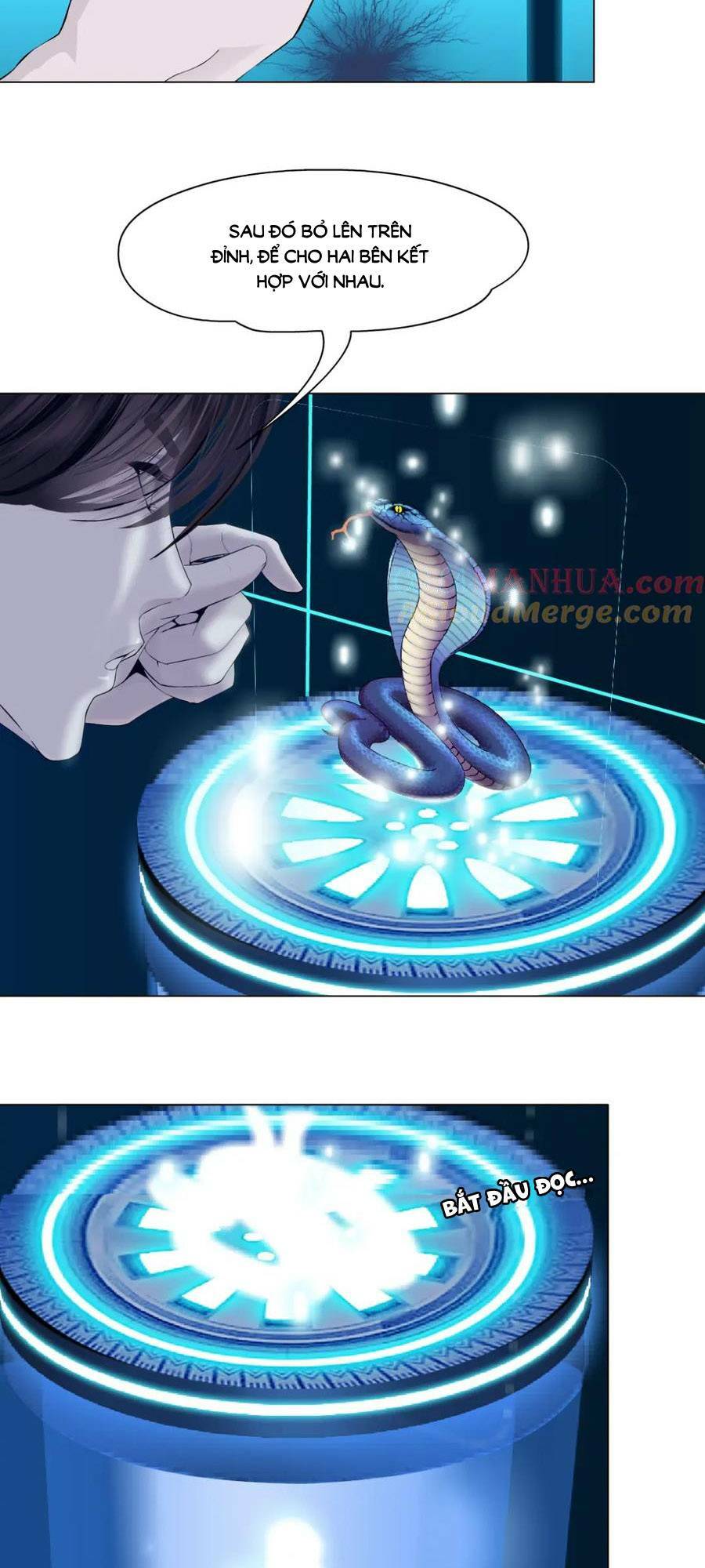 Đằng Nữ Chapter 212 - Trang 2