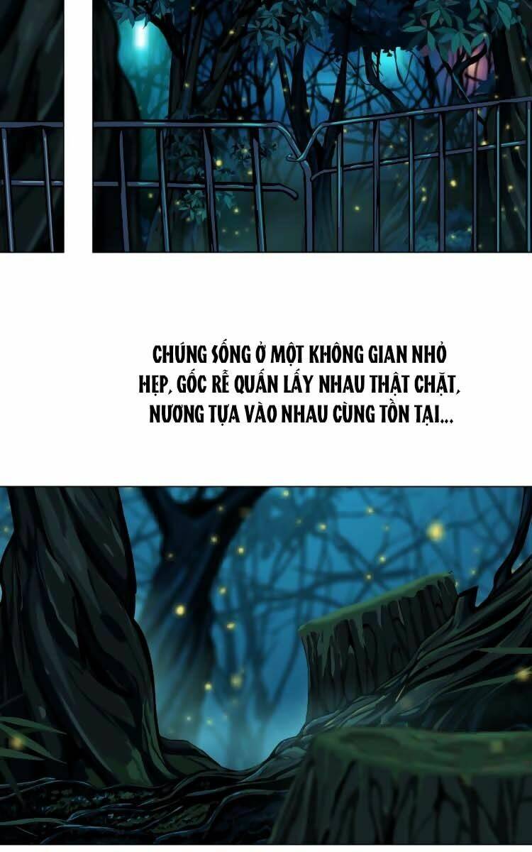 Đằng Nữ Chapter 4 - Trang 2