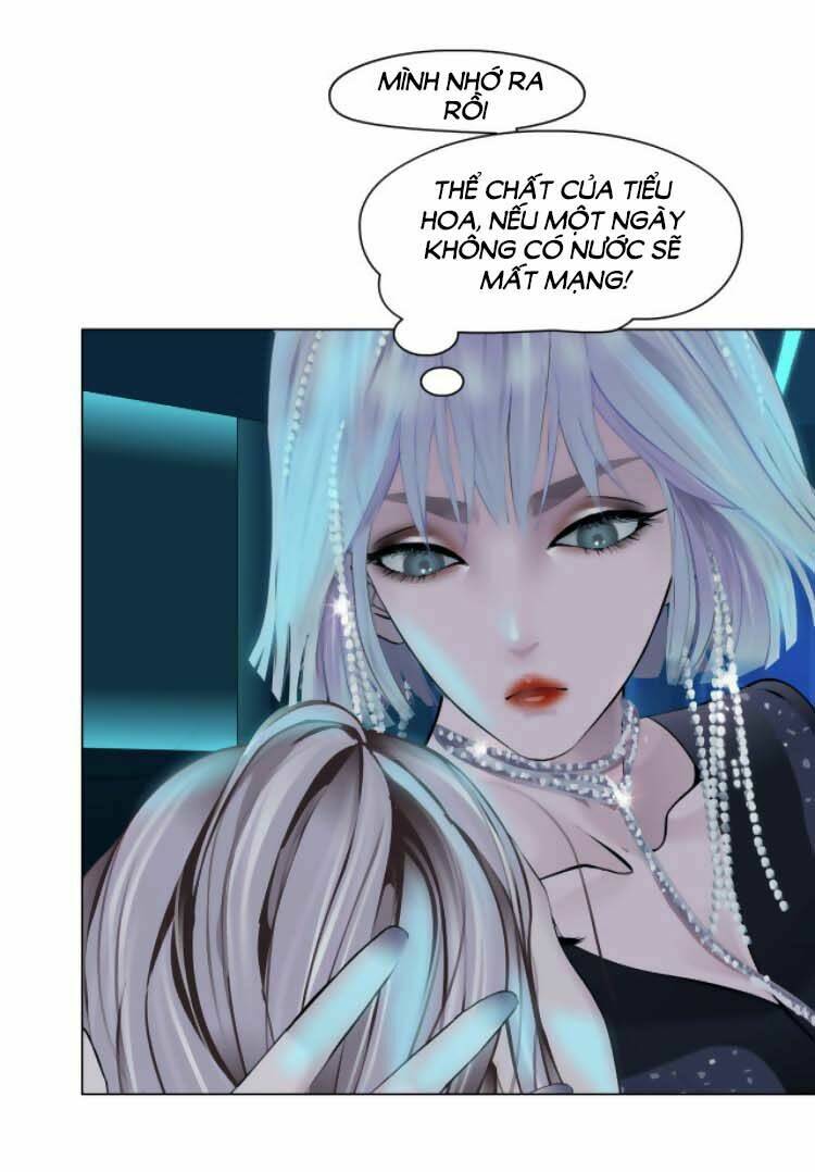 Đằng Nữ Chapter 64 - Trang 2