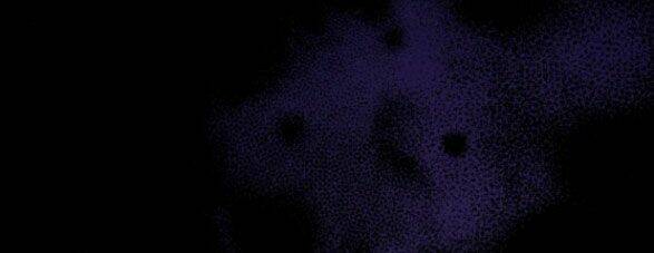 Dành Cho Nhân Vật Bị Bỏ Rơi Yêu Thích Nhất Của Tôi Chapter 24.1 - Trang 2