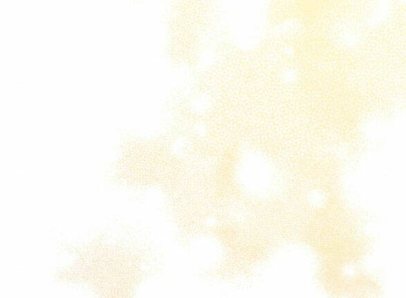 Dành Cho Nhân Vật Bị Bỏ Rơi Yêu Thích Nhất Của Tôi Chapter 24.2 - Trang 2