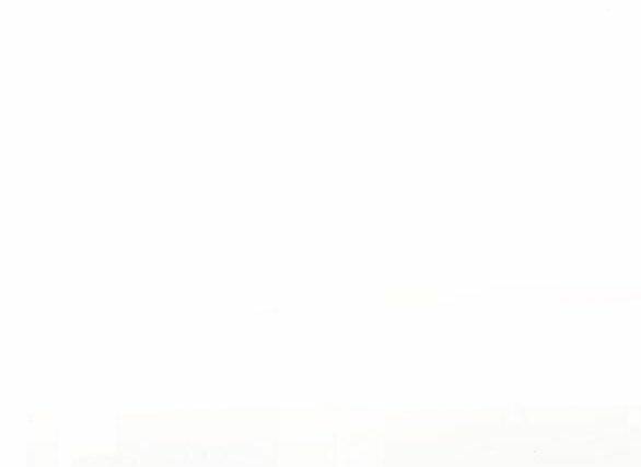 Dành Cho Nhân Vật Bị Bỏ Rơi Yêu Thích Nhất Của Tôi Chapter 35.5 - Trang 2