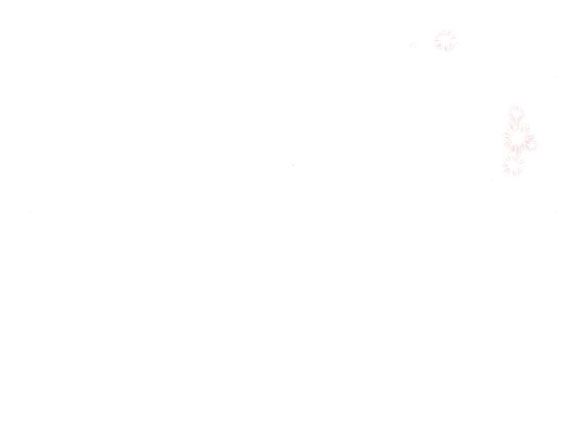 Dành Cho Nhân Vật Bị Bỏ Rơi Yêu Thích Nhất Của Tôi Chapter 37.5 - Trang 2