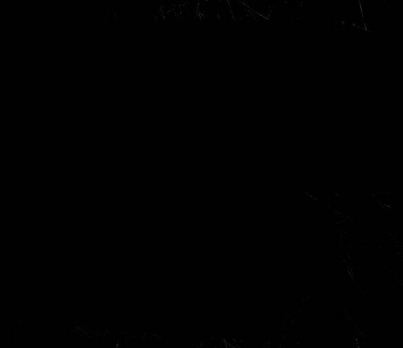 Dành Cho Nhân Vật Bị Bỏ Rơi Yêu Thích Nhất Của Tôi Chapter 37 - Trang 2