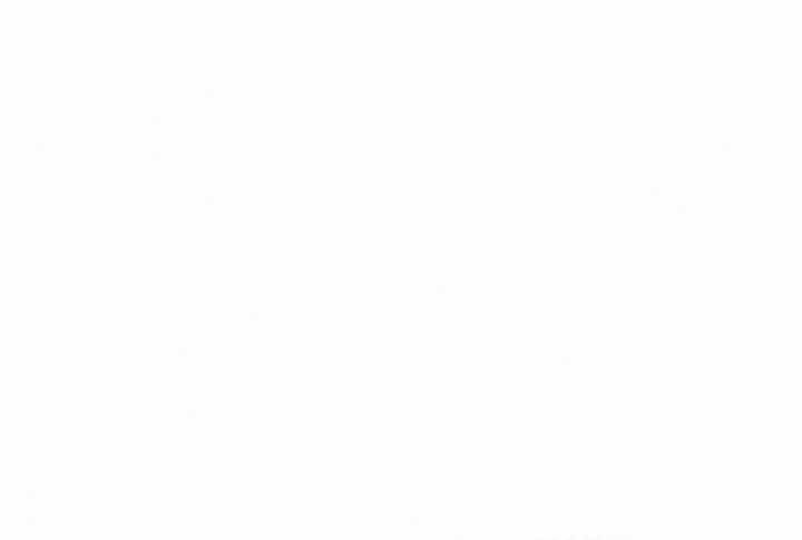 Đao Hoàng Tứ Thiếu Gia Chapter 17 - Trang 2