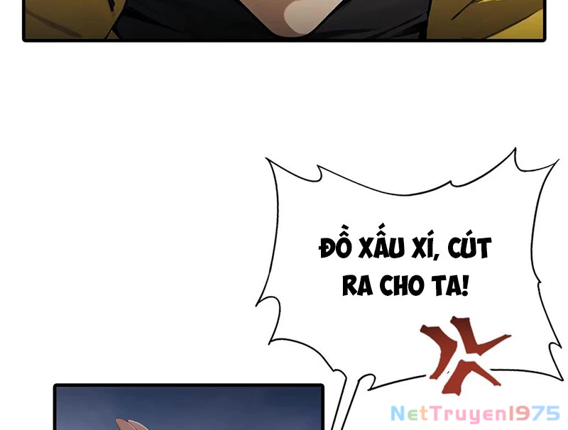 Đạo Hữu Nhường Một Chút: Ta Đây Tới Đô Thị Chém Quỷ Thần Chapter 5 - Trang 2