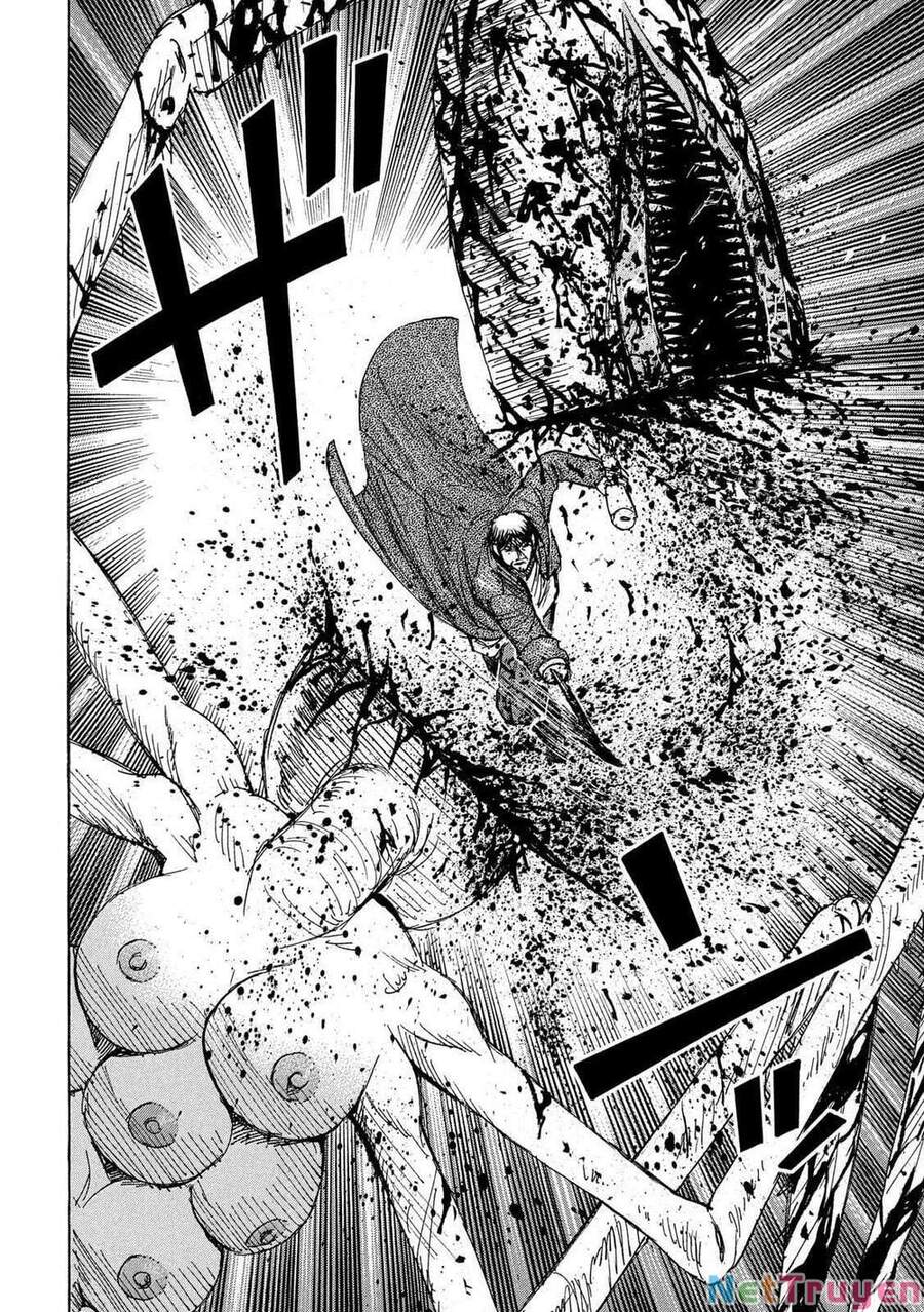 Đảo Ma Cà Rồng Phần 3 Chapter 236 - Trang 2