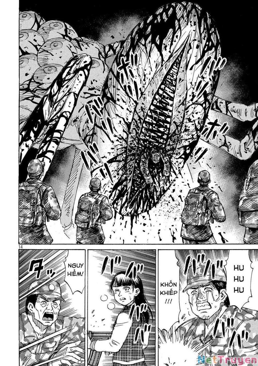 Đảo Ma Cà Rồng Phần 3 Chapter 236 - Trang 2