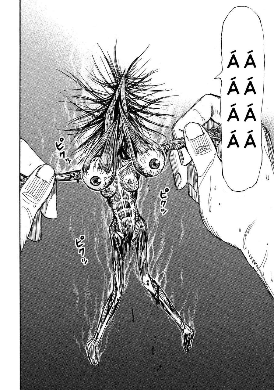 Đảo Ma Cà Rồng Phần 3 Chapter 745 - Trang 2