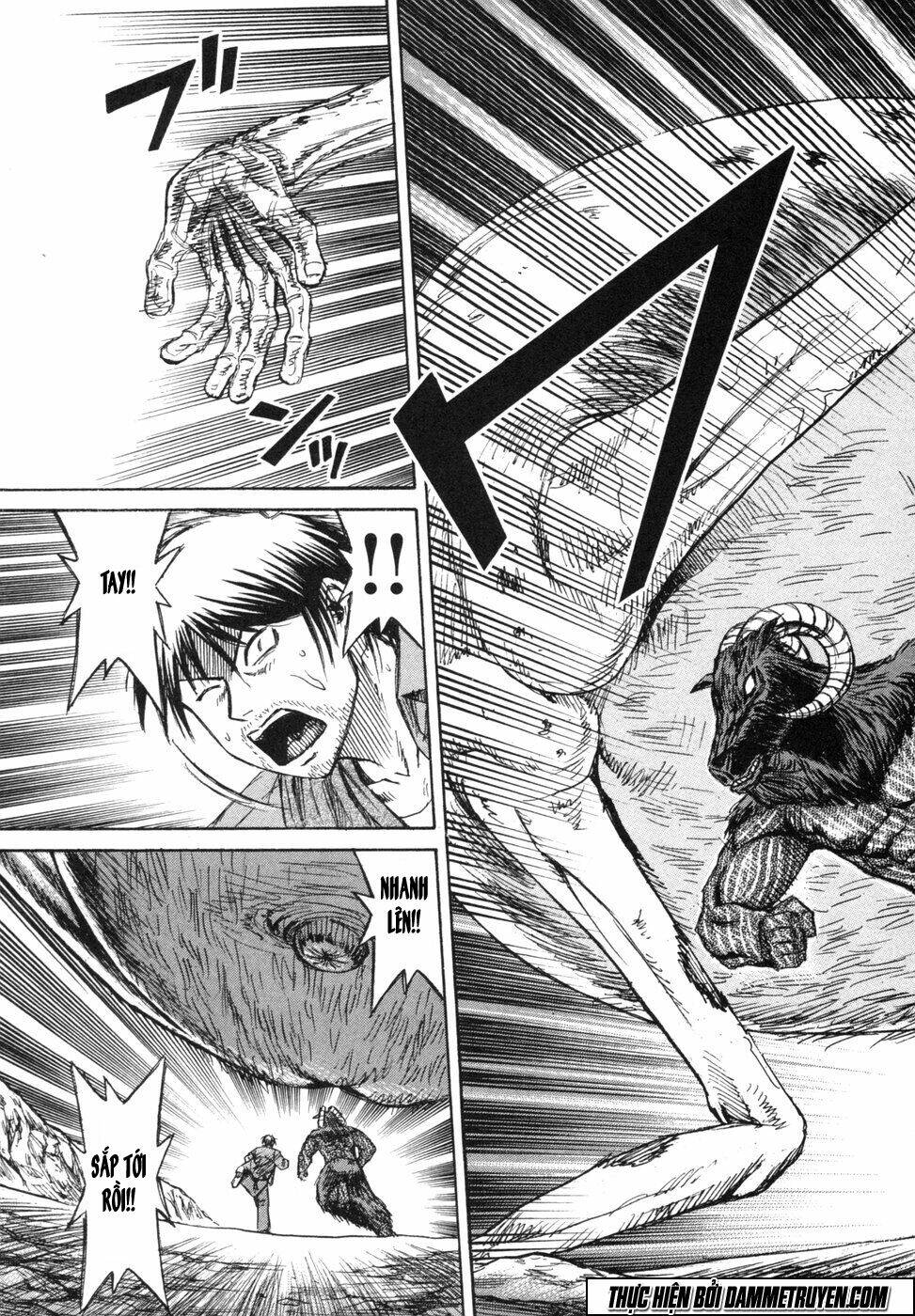 Đảo Ma Cà Rồng Chapter 245 - Trang 2