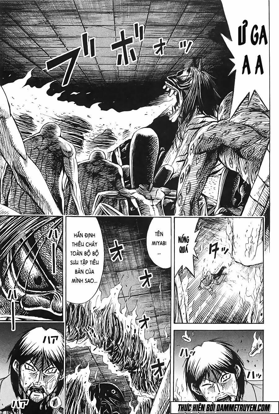 Đảo Ma Cà Rồng Chapter 324 - Trang 2