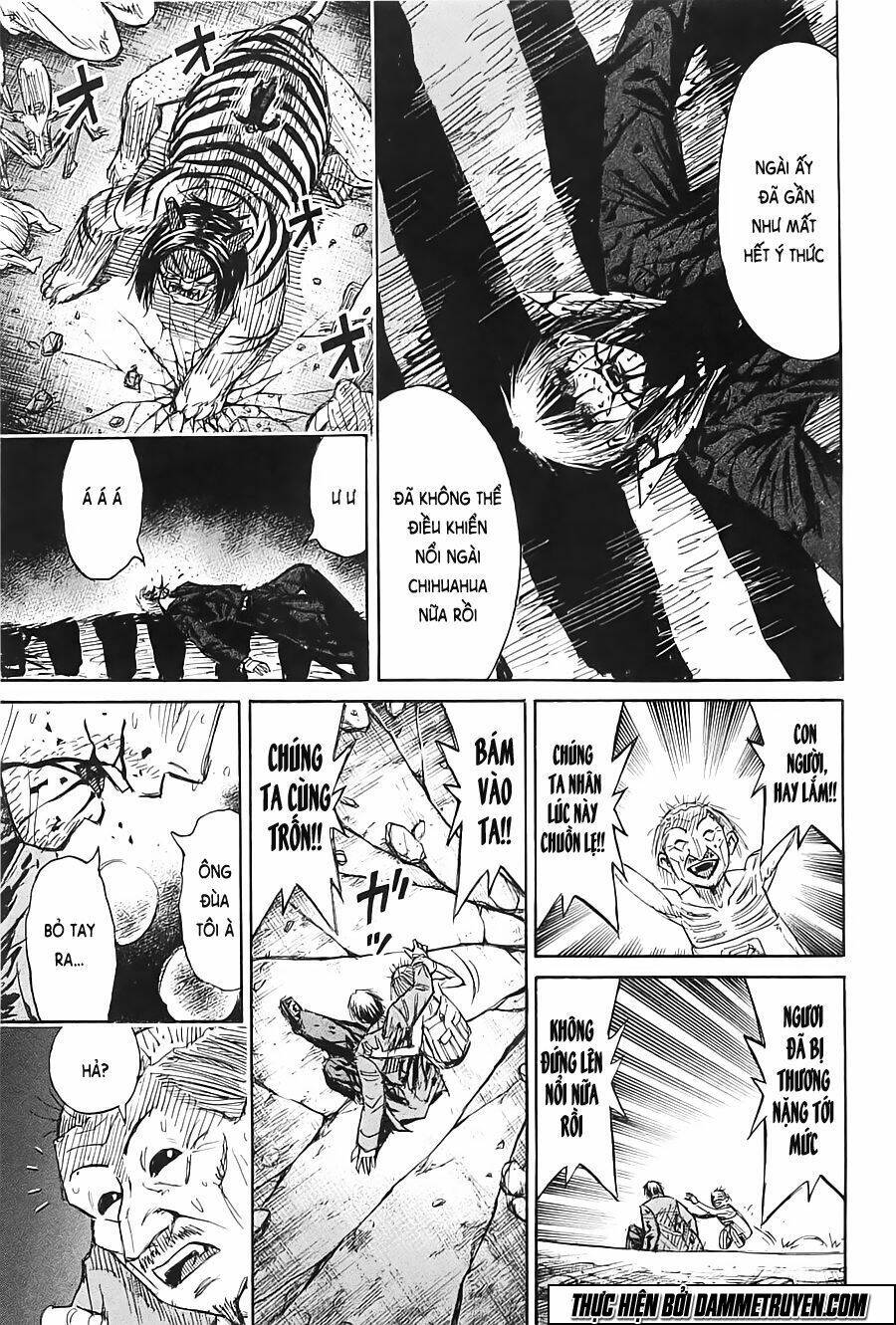 Đảo Ma Cà Rồng Chapter 325 - Trang 2