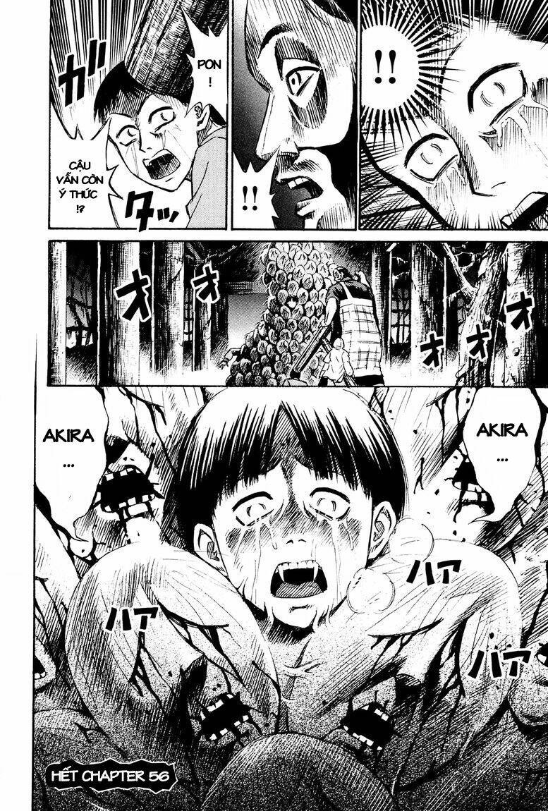 Đảo Ma Cà Rồng Chapter 56 - Trang 2