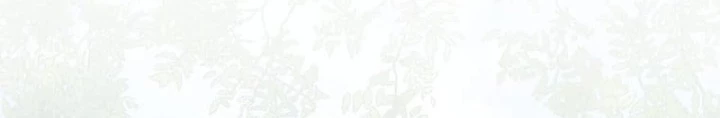 Đảo Ngược Cuộc Đời Của Tôi Như Một Nhân Vật Phụ Chapter 50 - Trang 2