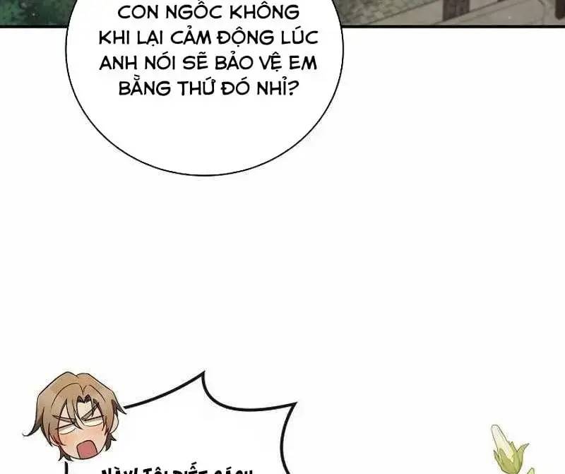 Đào Tạo Mấy Con Mắm Trong Tuyệt Vọng Chapter 11 - Trang 2