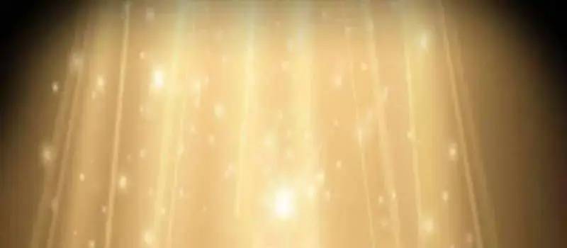 Đào Tạo Mấy Con Mắm Trong Tuyệt Vọng Chapter 17 - Trang 2