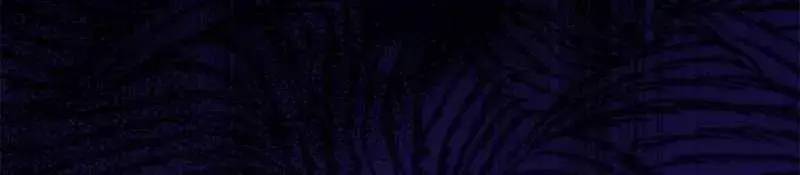 Đào Tạo Mấy Con Mắm Trong Tuyệt Vọng Chapter 23 - Trang 2