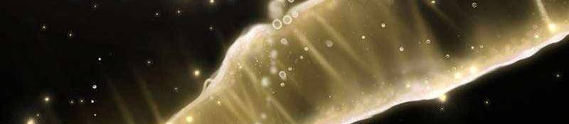 Đào Tạo Mấy Con Mắm Trong Tuyệt Vọng Chapter 24 - Trang 2