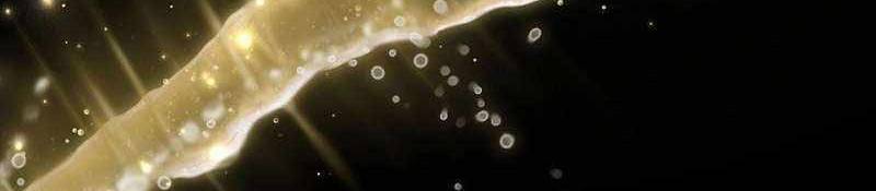 Đào Tạo Mấy Con Mắm Trong Tuyệt Vọng Chapter 24 - Trang 2