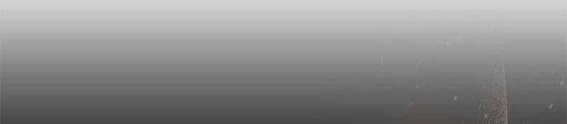 Đào Tạo Mấy Con Mắm Trong Tuyệt Vọng Chapter 24 - Trang 2