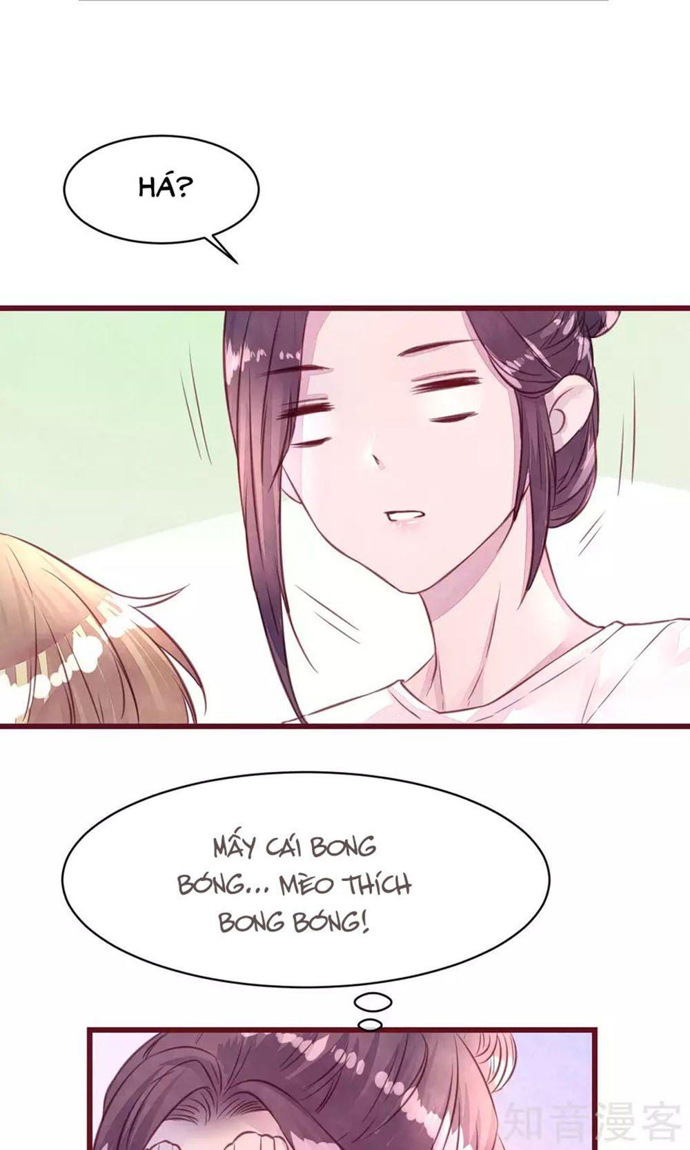 Đào Tạo Nuôi Dưỡng Bạn Trai Mèo Chapter 13 - Trang 2