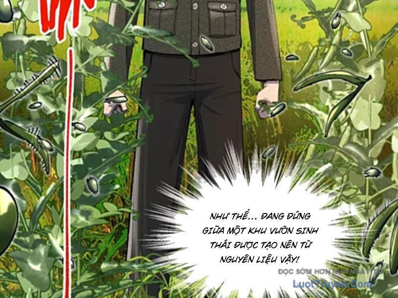 Đạo Vô Danh Chapter 21 - Trang 2