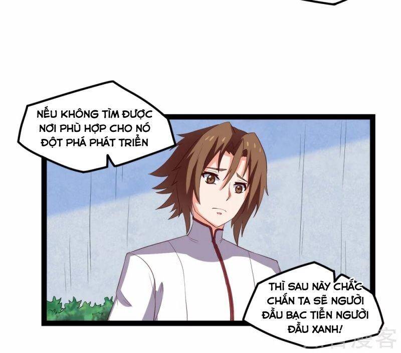 Đạp Toái Tiên Hà Chapter 166 - Trang 2