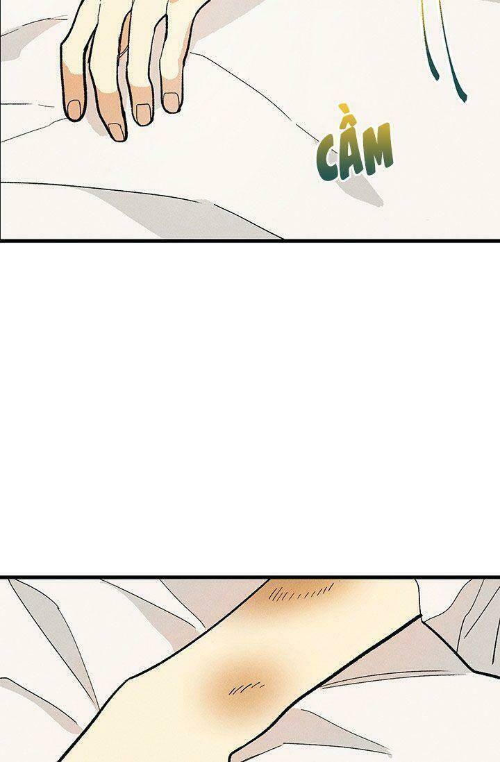 Đầu Bếp Hoàng Gia Chapter 15 - Trang 2