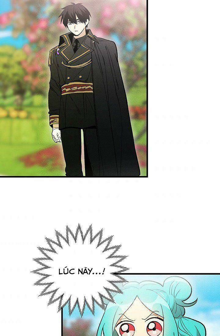 Đầu Bếp Hoàng Gia Chapter 20 - Trang 2