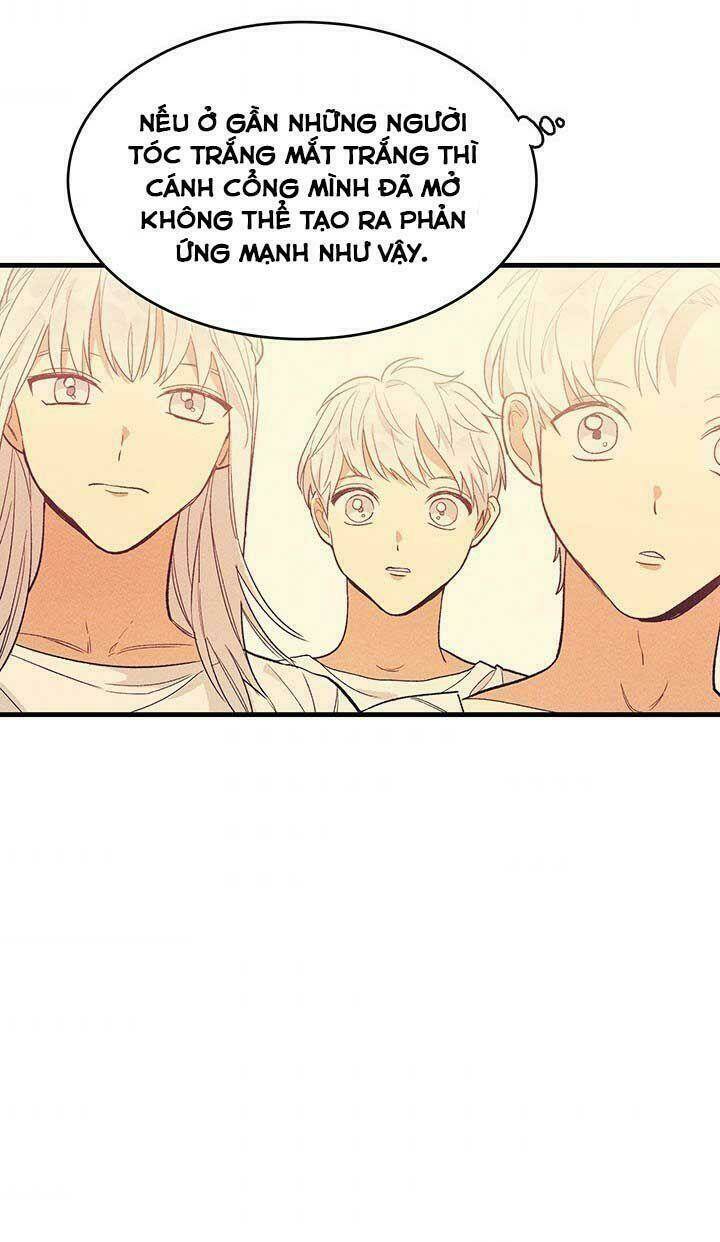 Đầu Bếp Hoàng Gia Chapter 33 - Trang 2