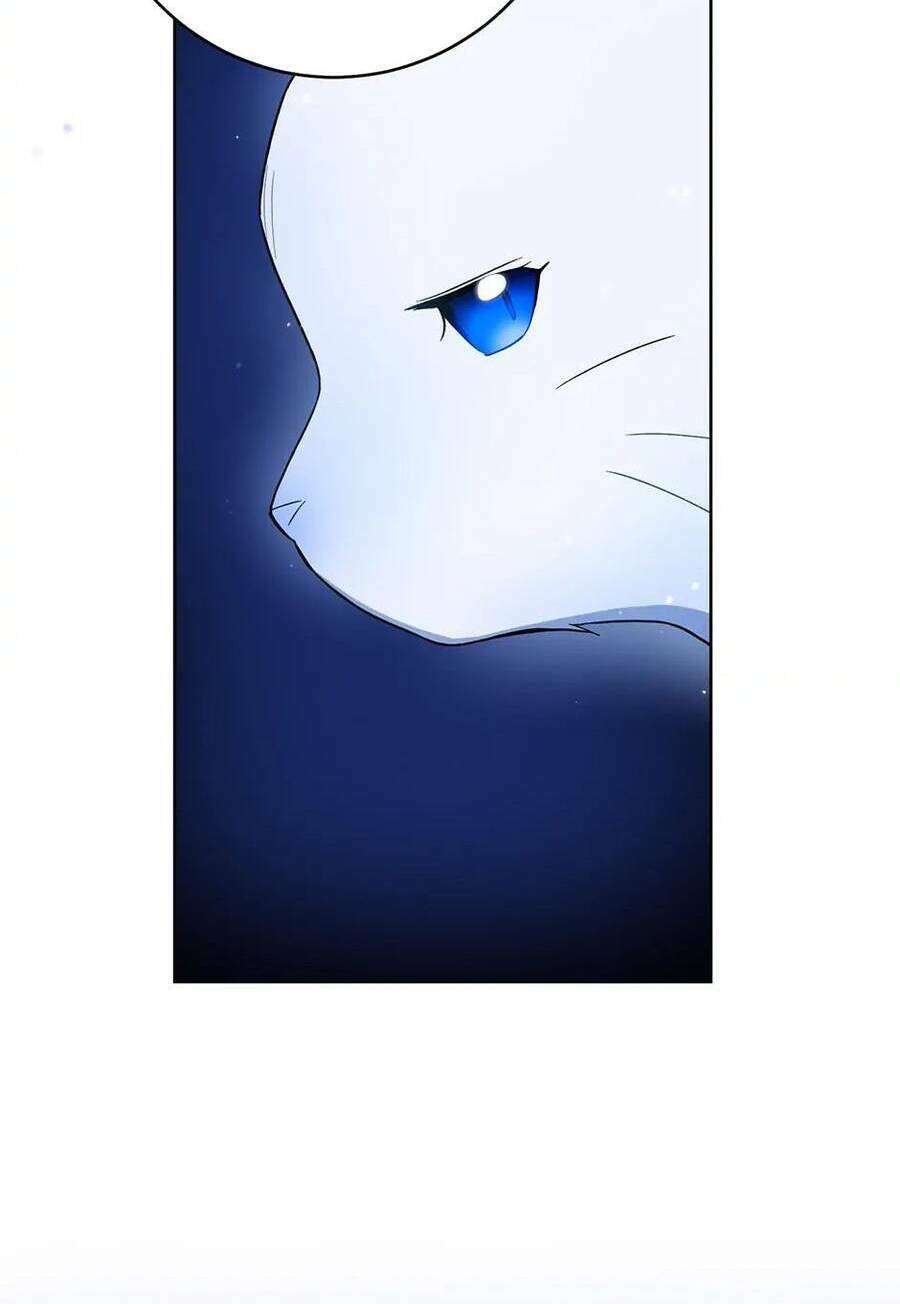 Đầu Bếp Hoàng Gia Chapter 78 - Trang 2