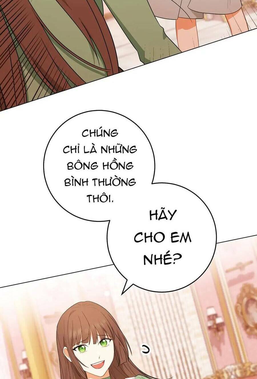 Đầu Bếp Hoàng Gia Chapter 82 - Trang 2