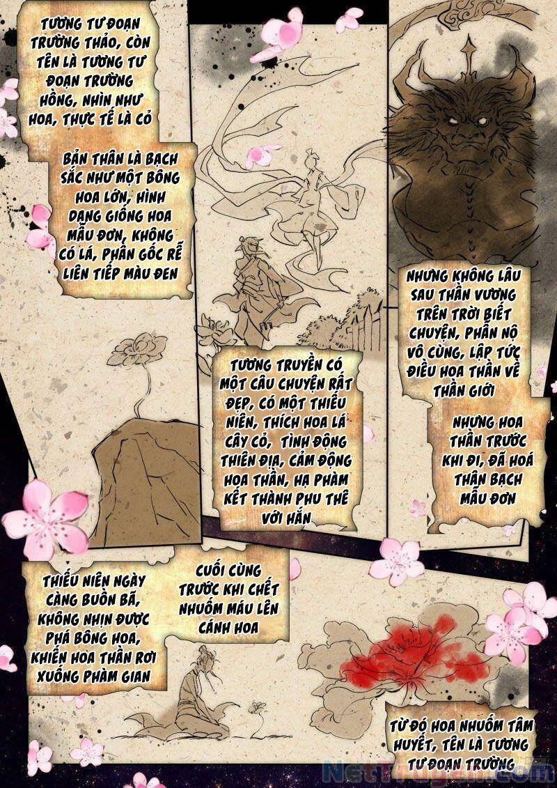 Đấu La Đại Lục 2 Chapter 270 - Trang 2