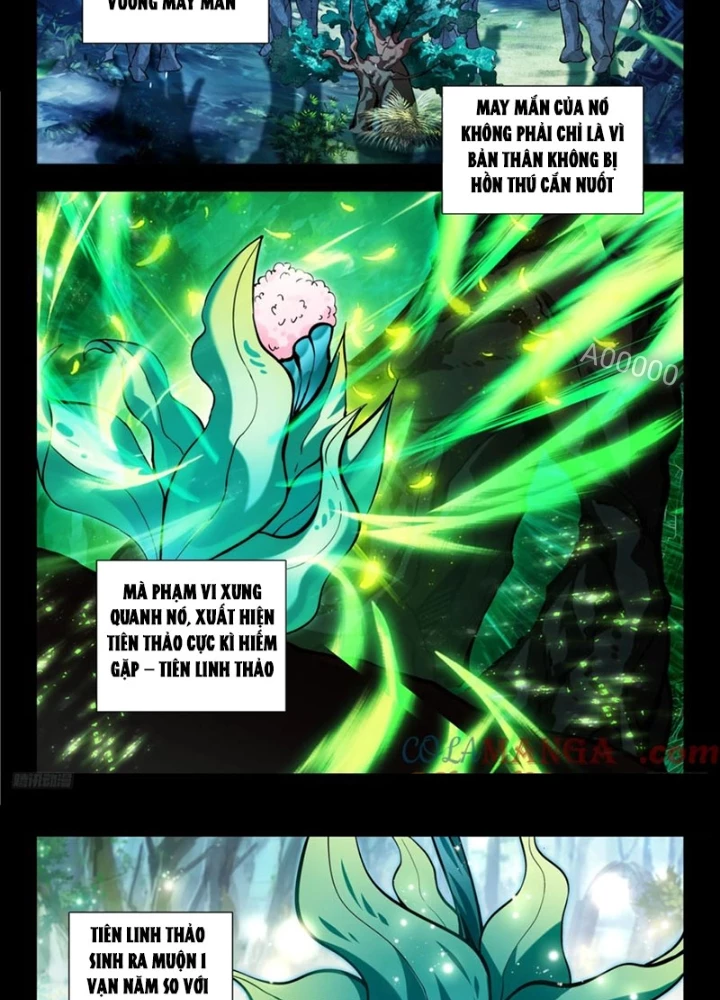 Đấu La Đại Lục 2 Chapter 447 - Trang 2