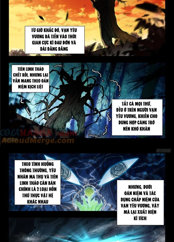 Đấu La Đại Lục 2 Chapter 447 - Trang 2