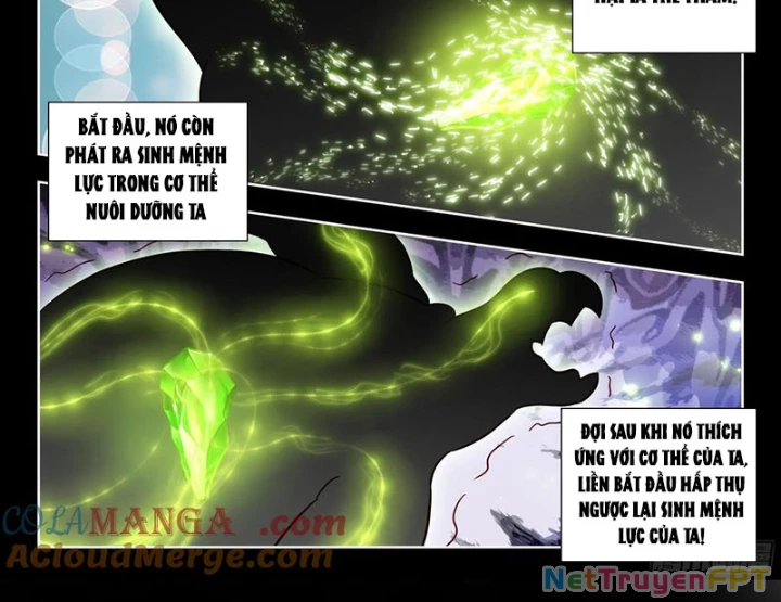 Đấu La Đại Lục 2 Chapter 497 - Trang 2