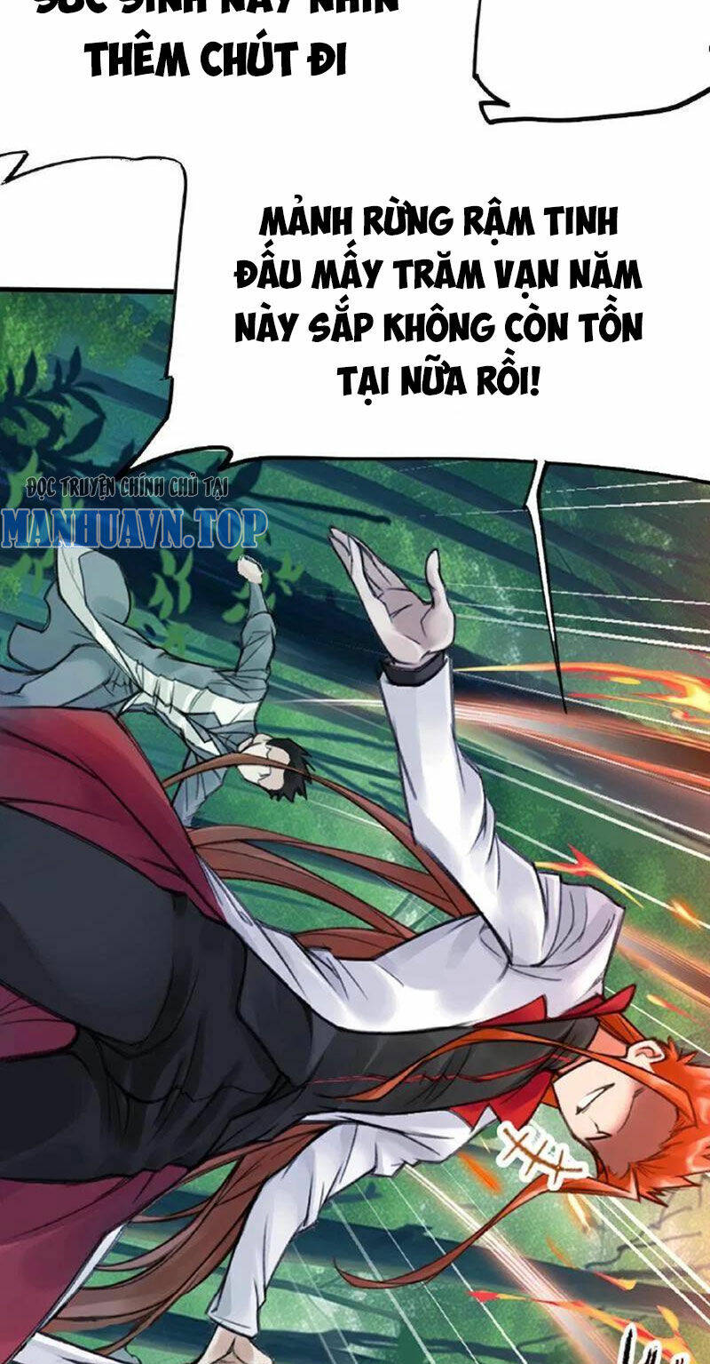 Đấu La Đại Lục Chapter 334 - Trang 2