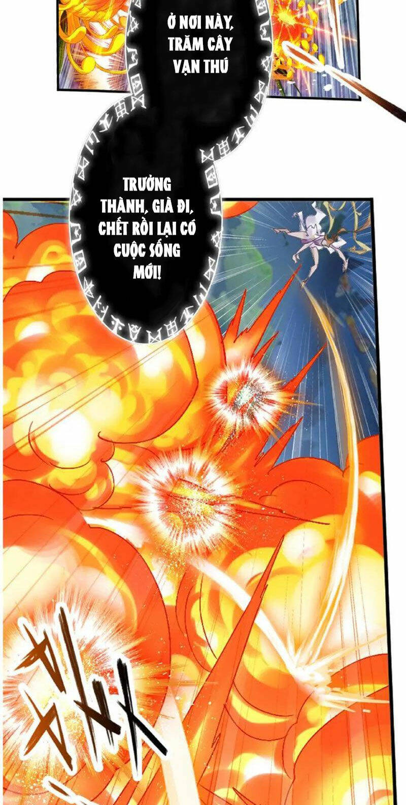 Đấu La Đại Lục Chapter 335 - Trang 2