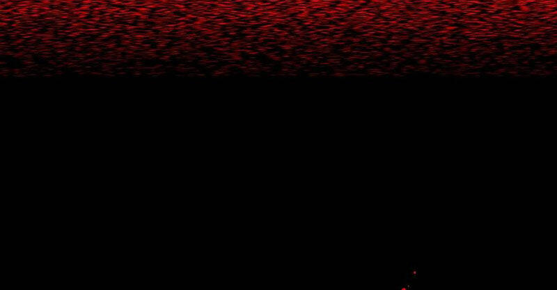 Đấu La Đại Lục Chapter 336.2 - Trang 2