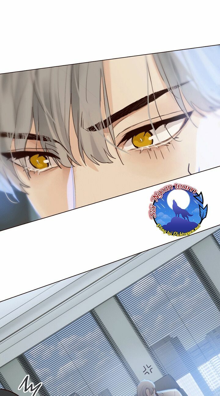 Đâu Phải Tại Tui Muốn Giả Gái Chapter 1 - Trang 2