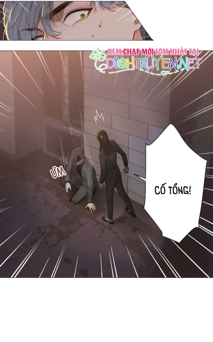 Đâu Phải Tại Tui Muốn Giả Gái Chapter 23 - Trang 2