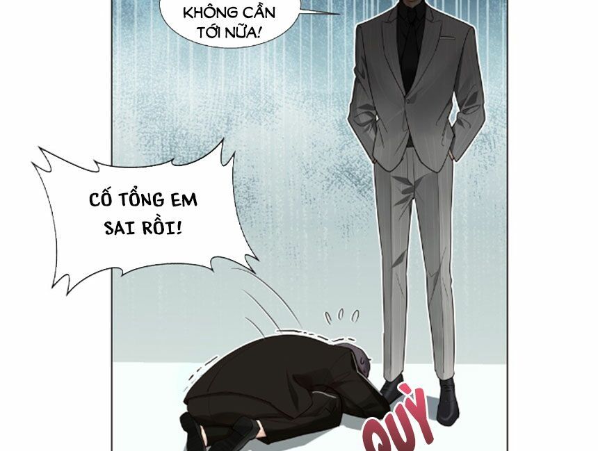 Đâu Phải Tại Tui Muốn Giả Gái Chapter 28 - Trang 2