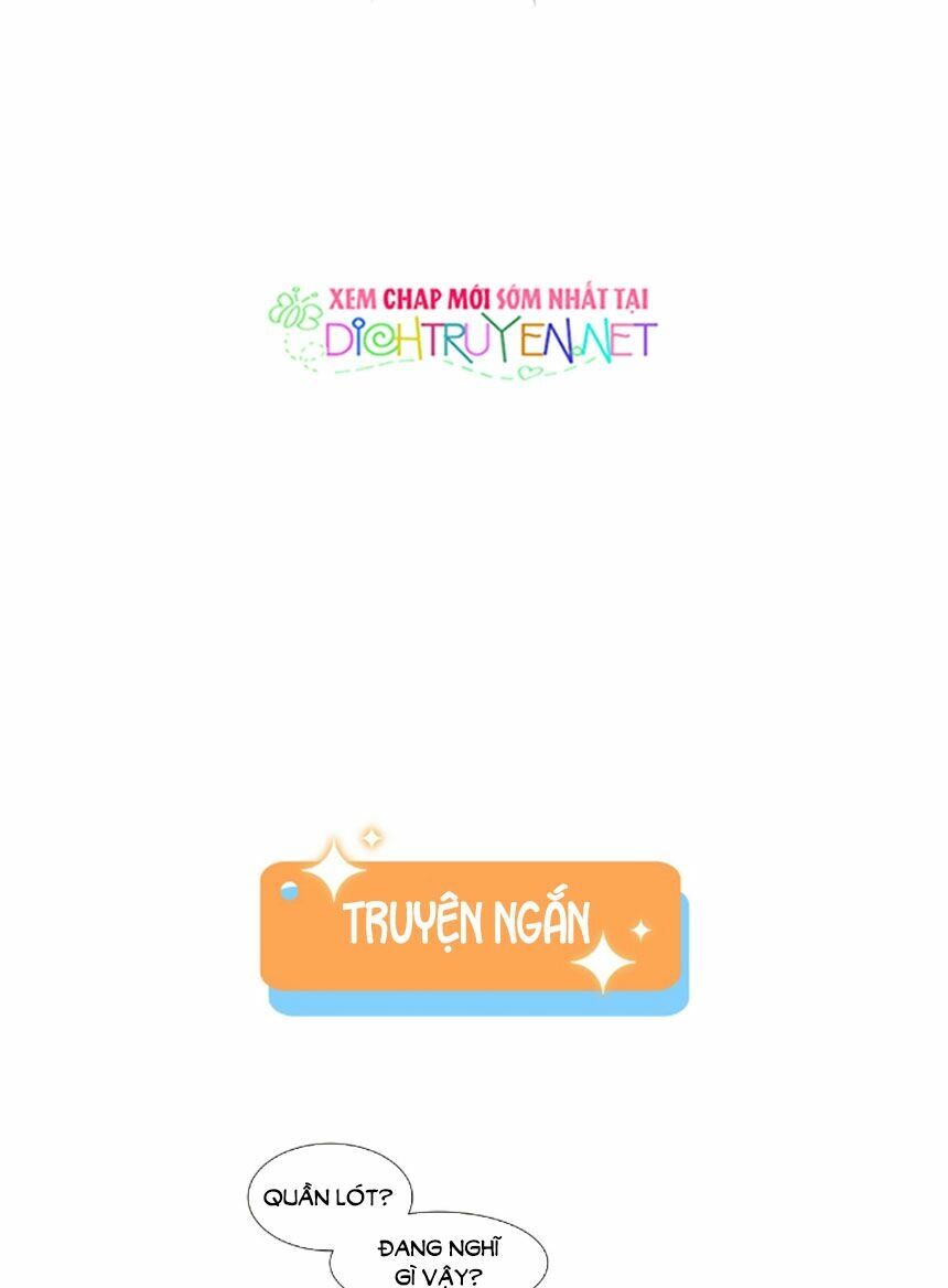 Đâu Phải Tại Tui Muốn Giả Gái Chapter 28 - Trang 2